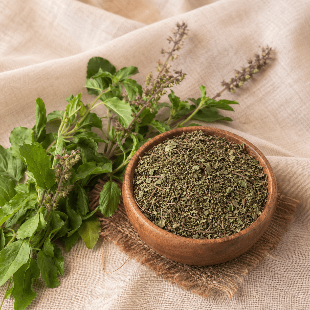 Tulsi (Holy Basil)